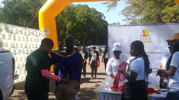 Gauteng Funwalk 2019 Image